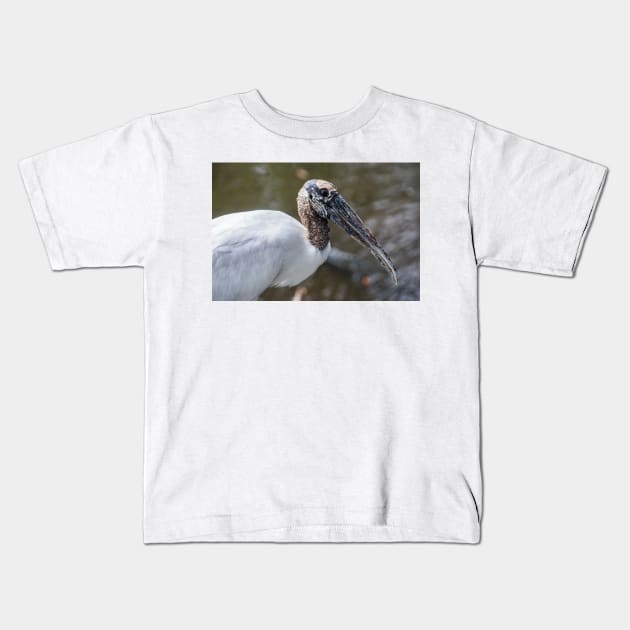 Wood stork 4 Kids T-Shirt by KensLensDesigns